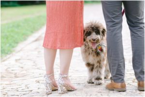 A puppy sneaks between a couple's legs during their park engagement photos