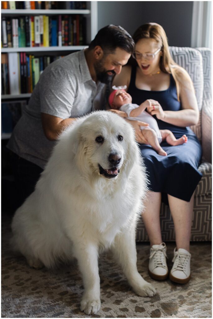 Newborn photography featuring a white dog and mom and dad snuggling their baby.